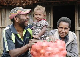 Onion-Harvest-Papua-New-Guinea