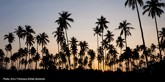 Palm trees at sunset
