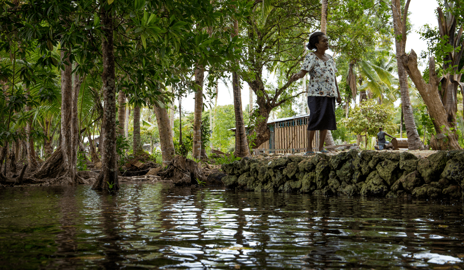 A woman stands beside a stream.