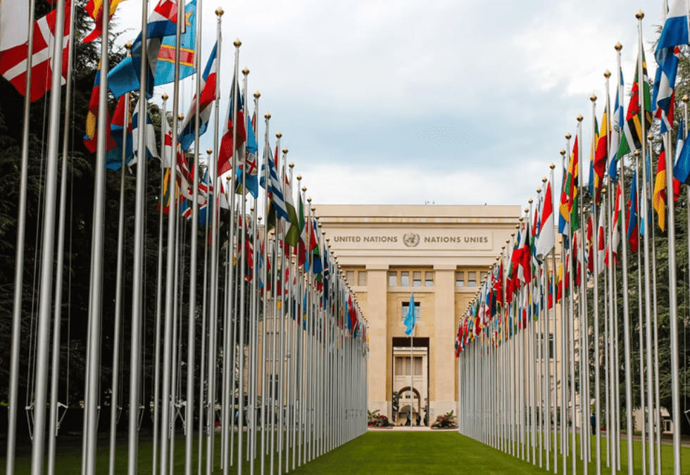 Rows of flags in front of UN building