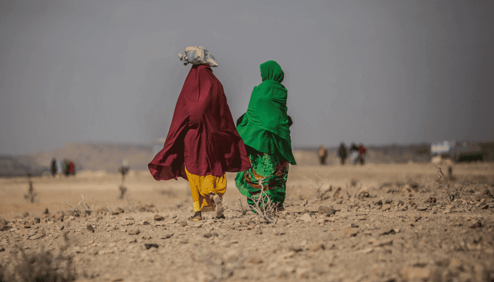 Two people walk away from the camera, wearing red and green clothing