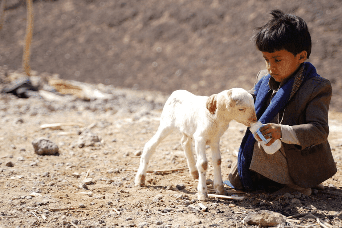 A boy plays with a goat in Yemen