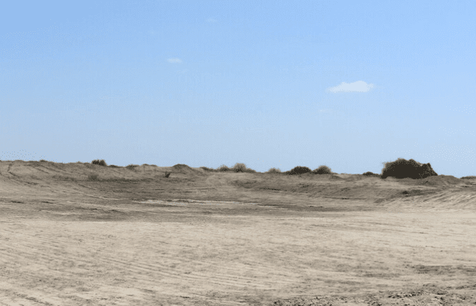 Dry area impacted by drought