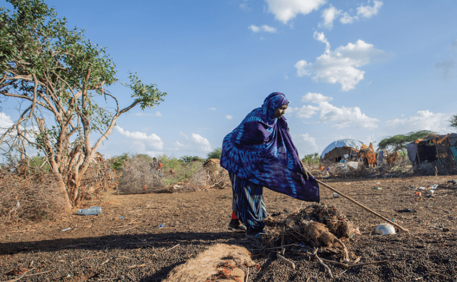 Woman farmer in dry crop area