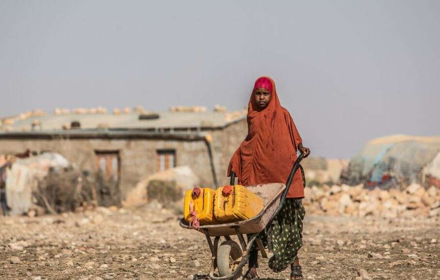 Lady walking with a wheelbarrow