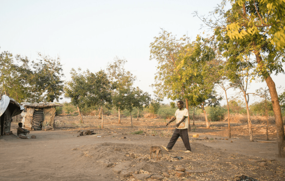 A man walks in a barren landscape