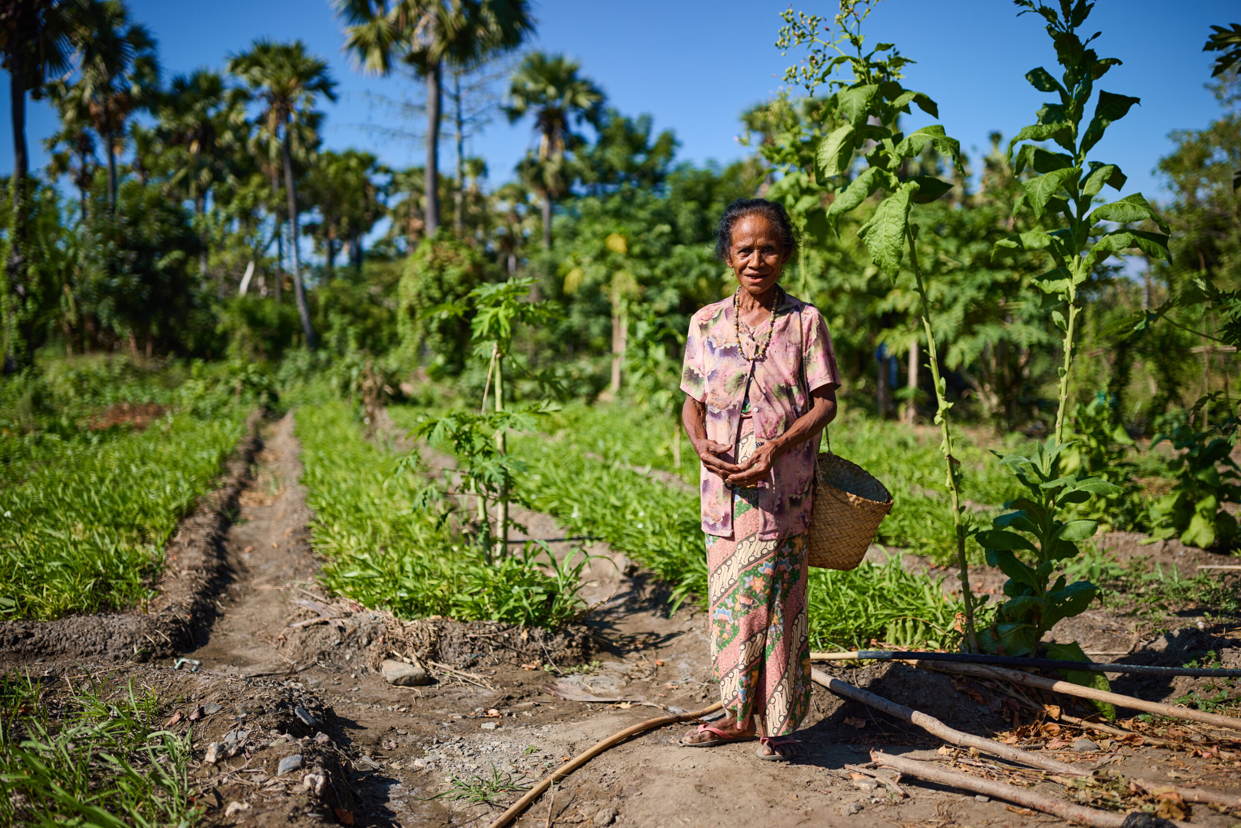 Natersia standing in front of her vegetable patch in Timor-Leste