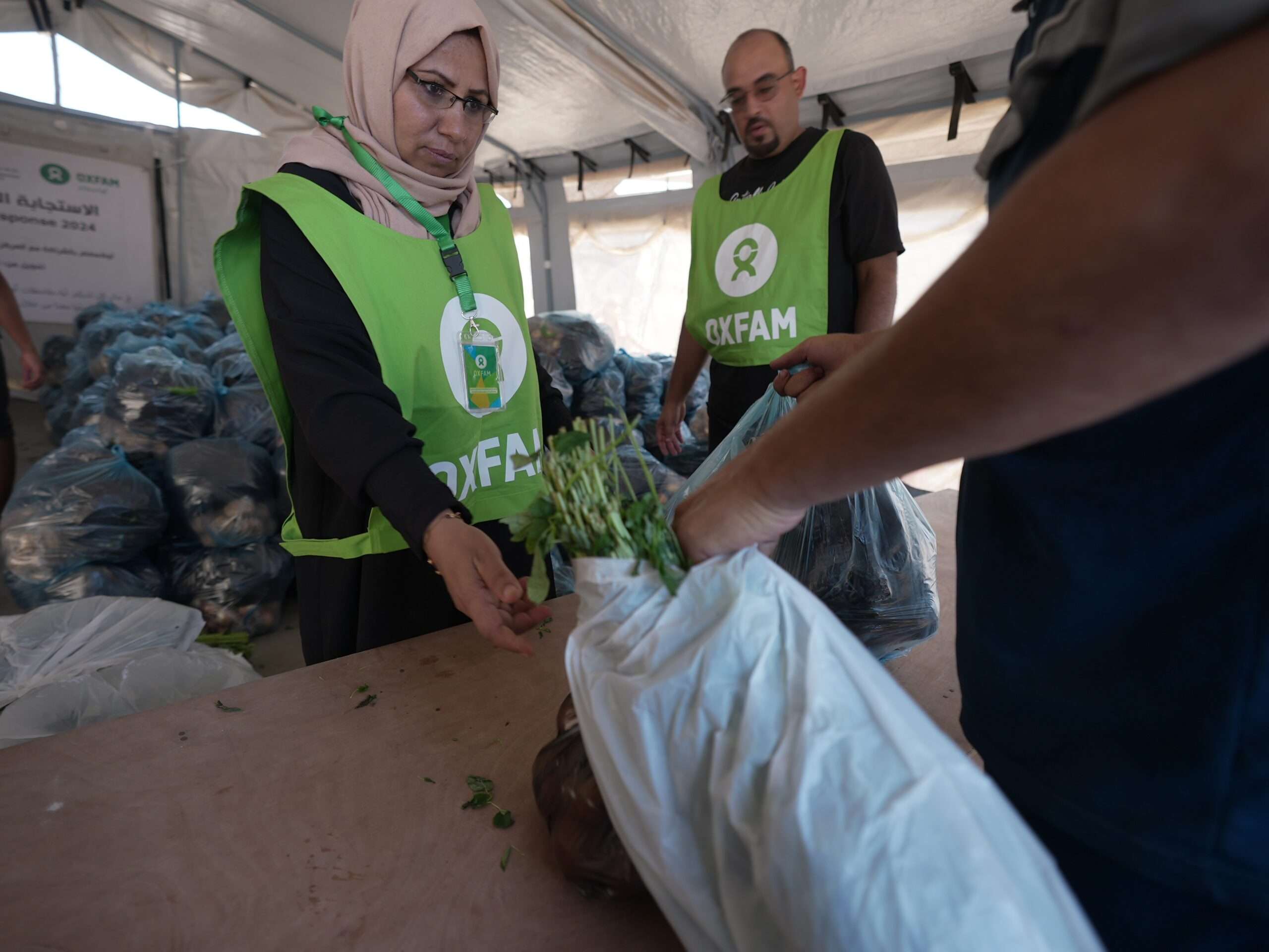 Oxfam distributing vegetable parcels to displaced peoples in Gaza