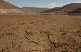 cracked / barren land in drought