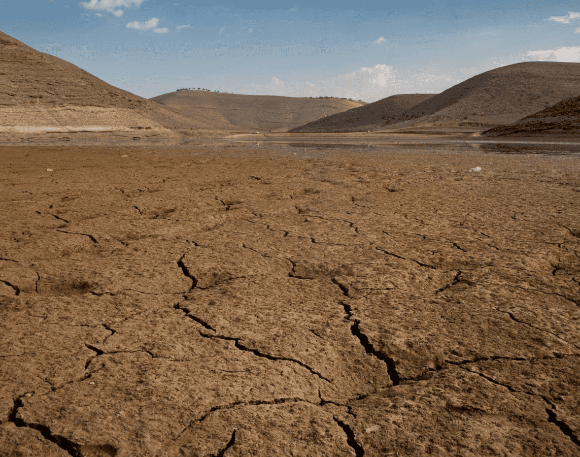 cracked / barren land in drought