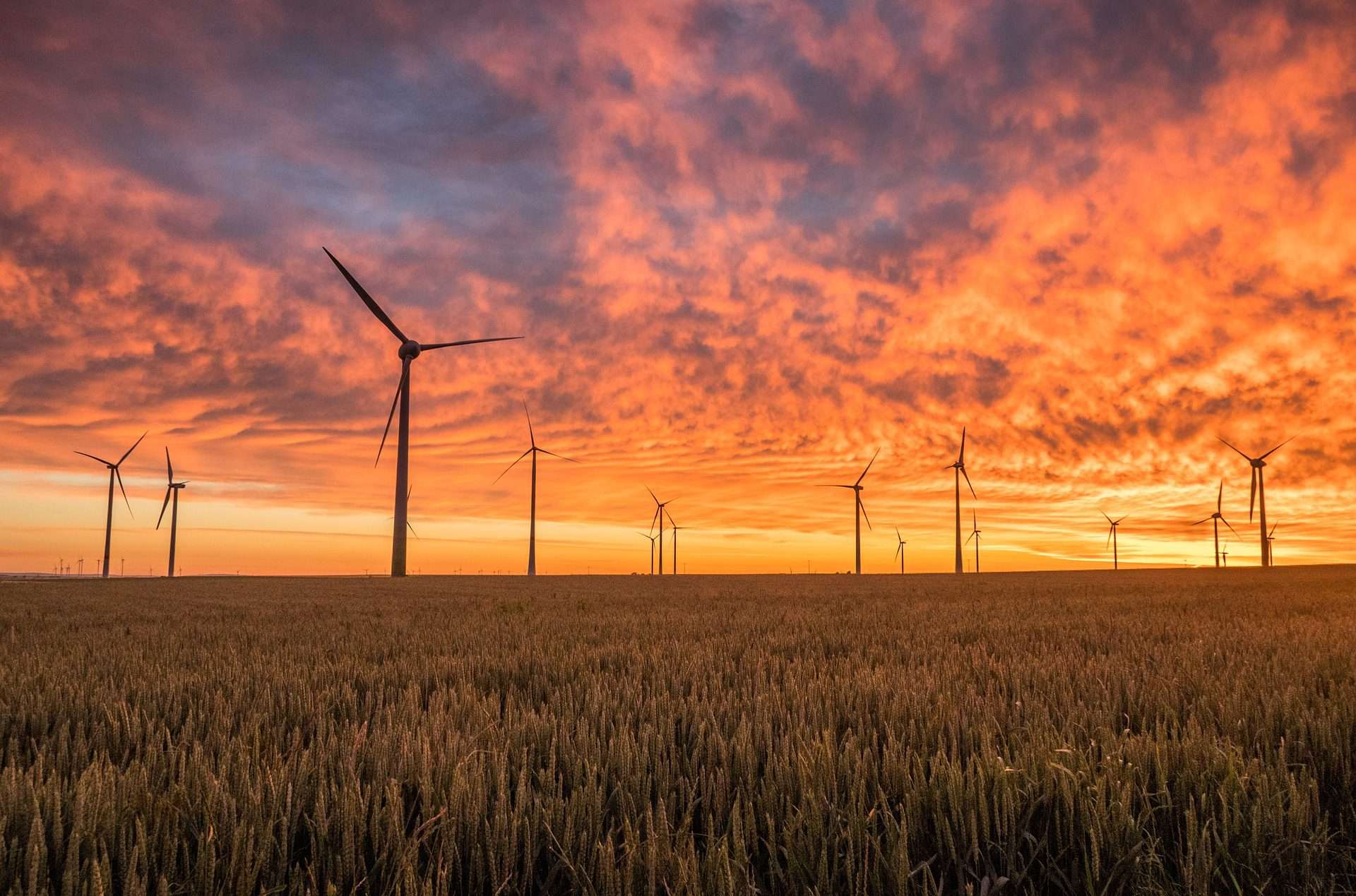 windmills during sunset