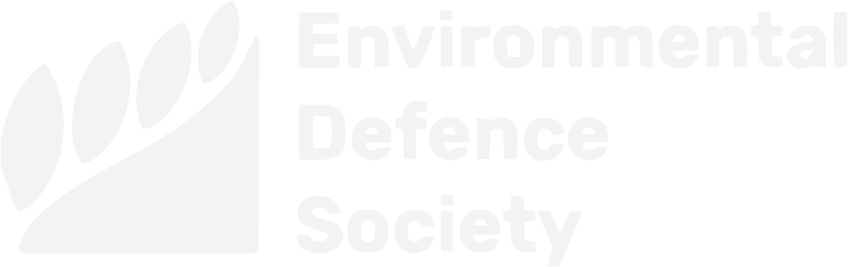 EDS logo