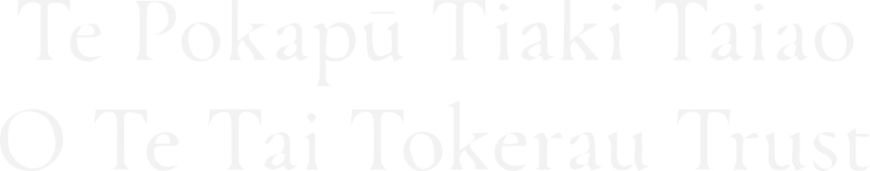 TTTT
