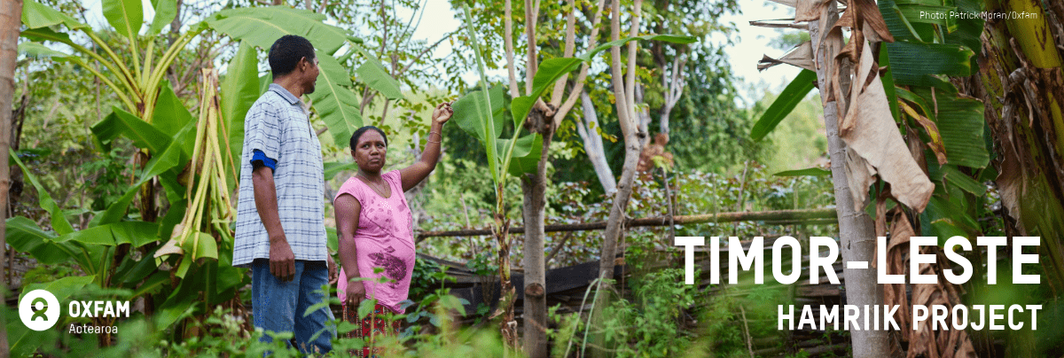 Banner that says Timor-Leste Hamriik Project with photo of couple in vegetable garden