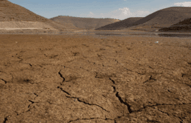 cracked / barren land in drought