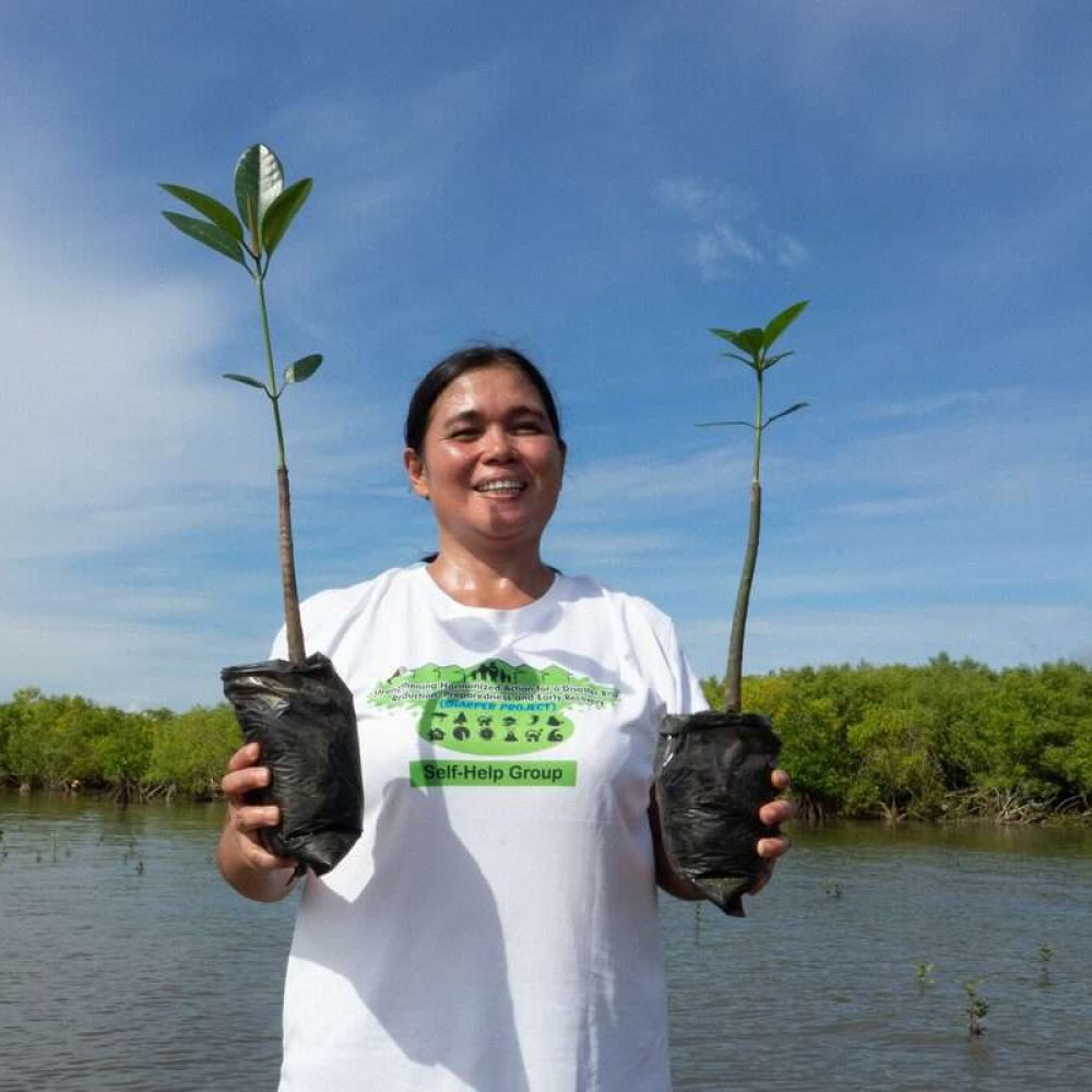 Rowena Obina, member of a womens group that undertook mangrove restoration, plants saplings. 
SEE RELATED STORY FILES